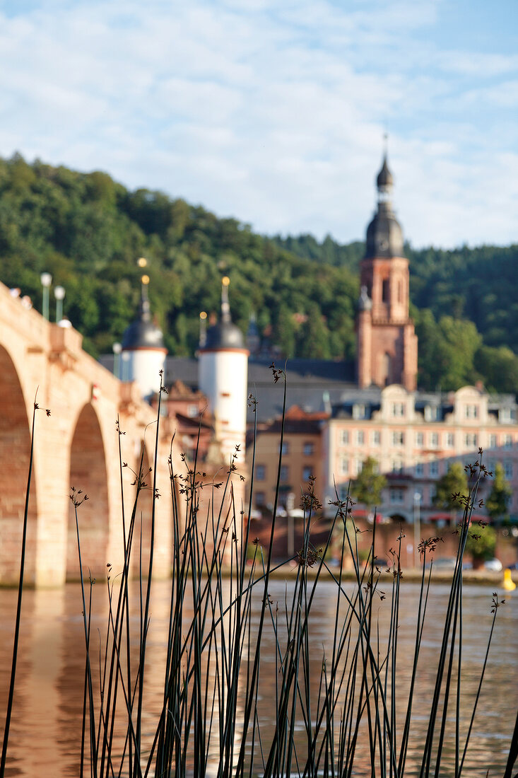 Blurred grass overlooking Karl-Theodor Bridge in front of Heidelberg, Germany