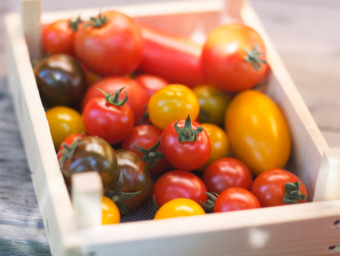 Sommerküche, Verschiedene Tomatensorten in einer Kiste