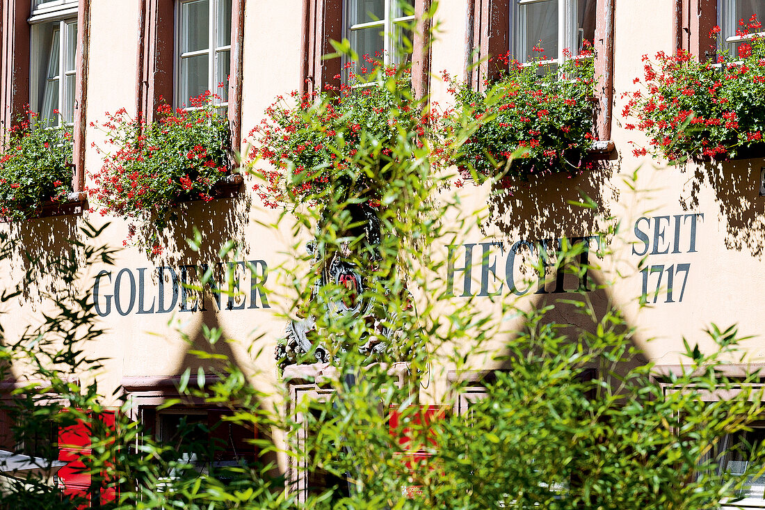 Heidelberg: Hotel Goldener Hecht, Fassade