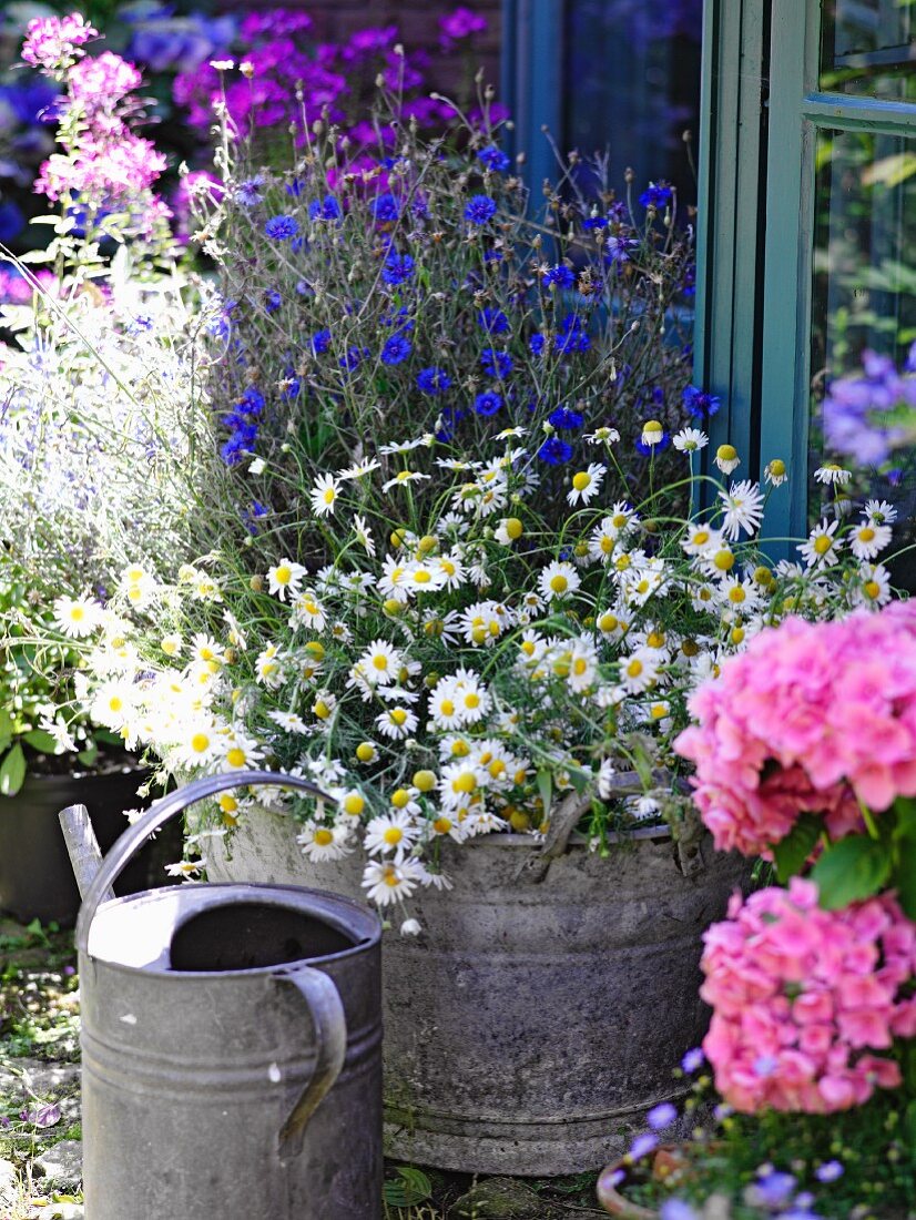 A summery garden with a watering can and flowers in a zinc bathtub