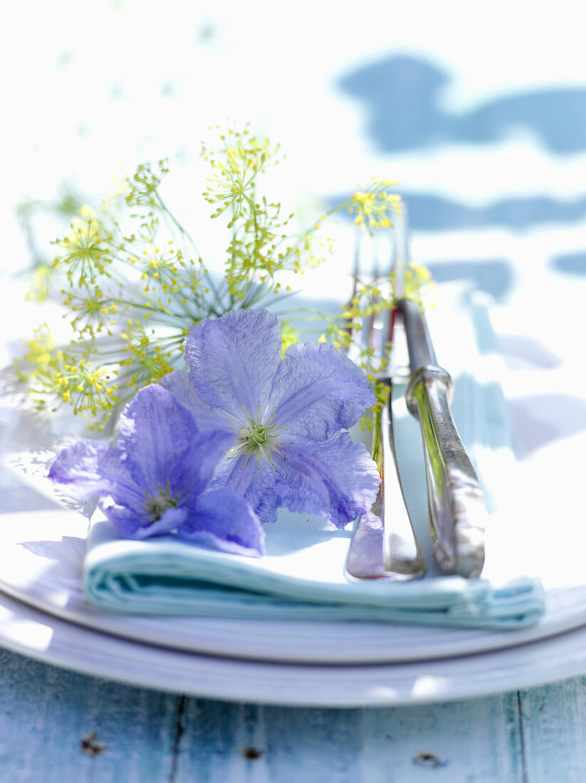 Plate decorated with dill and blue flowers on garden table