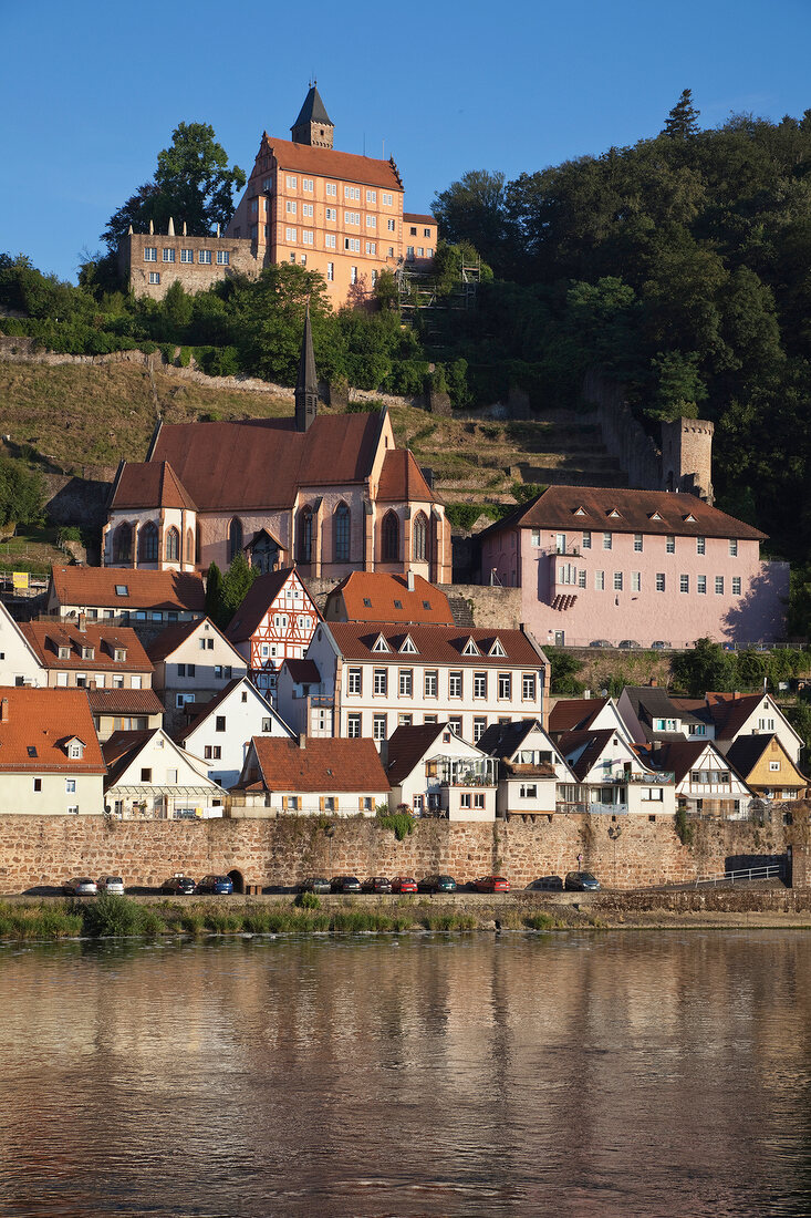Hirschhorn: Blick auf Häuser am Neckar, malerisch