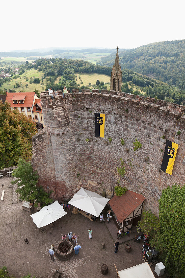 View of Dilsberg Castle ruins, Germany