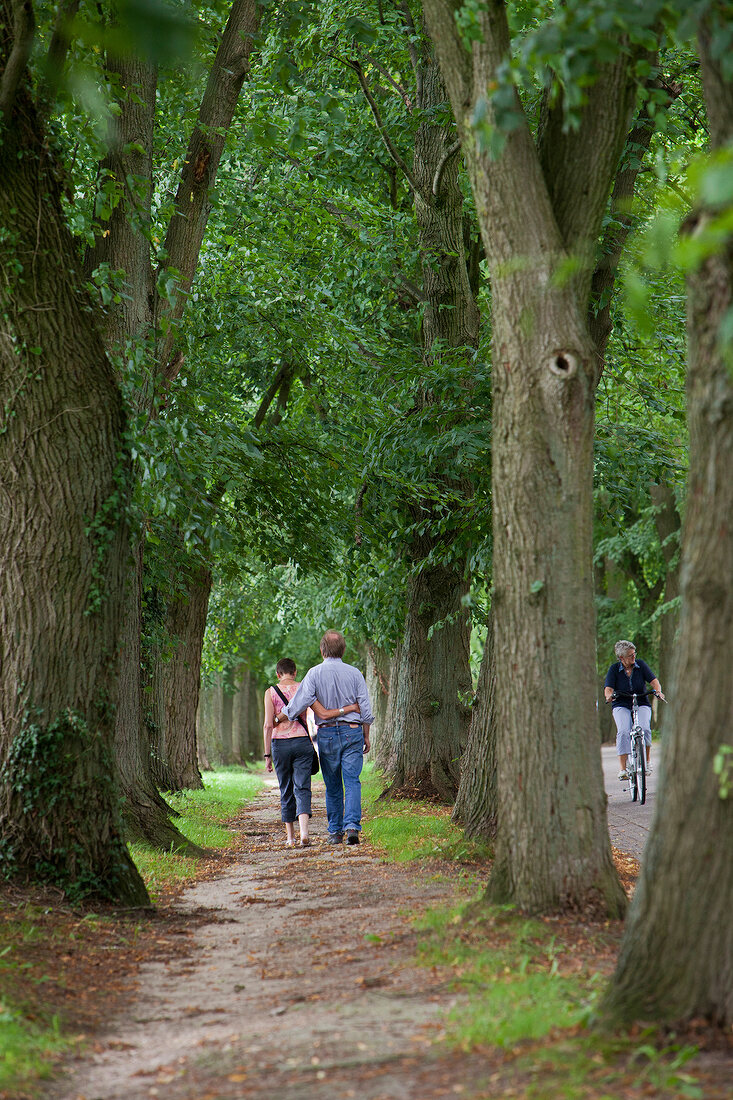 Rear view of couple holding waist and walking through linden alley in Worpswede, Germany