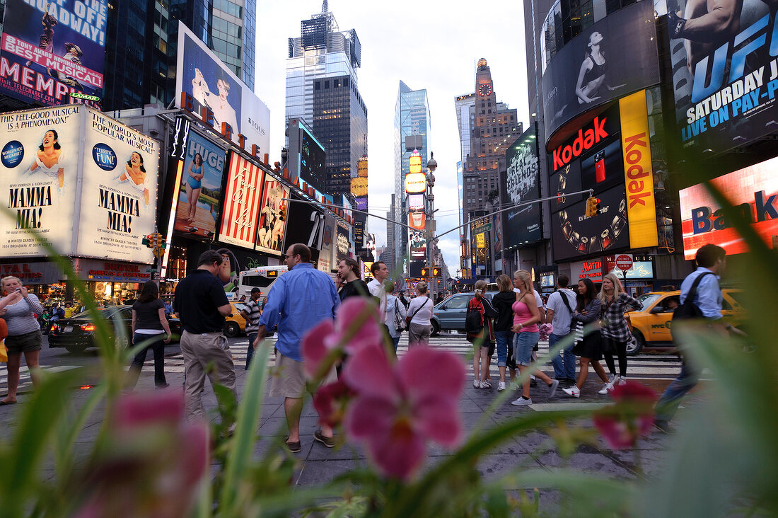 View of people at Times Square through flower, New York, USA