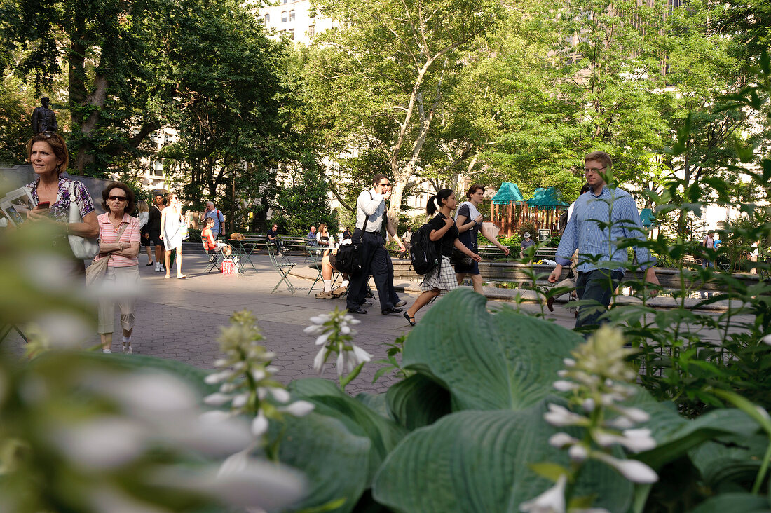 People relaxing in Madison Square Park overlooking skyscrapers, New York, USA