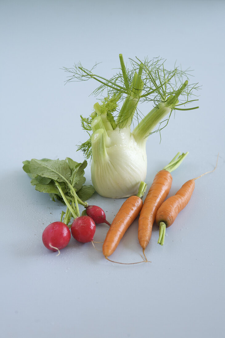 Fennel, carrot and radish on white background