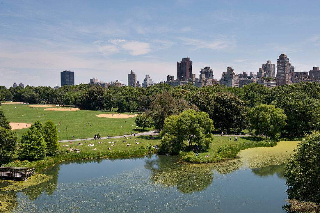View of pond in Central Park, New York, USA