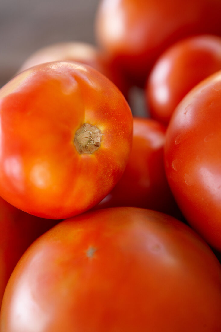 reife rote Tomaten 