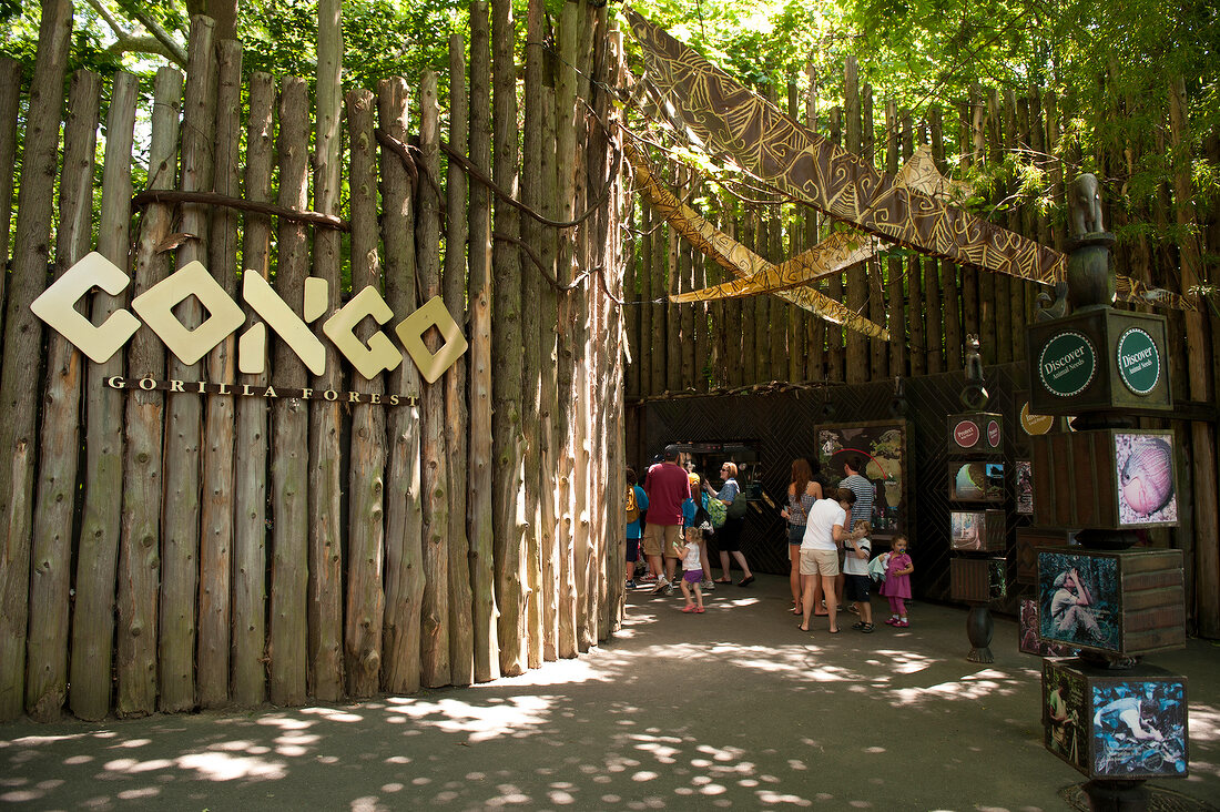 New York: Congo, Eingang Gorilla Forest, Bronx Zoo