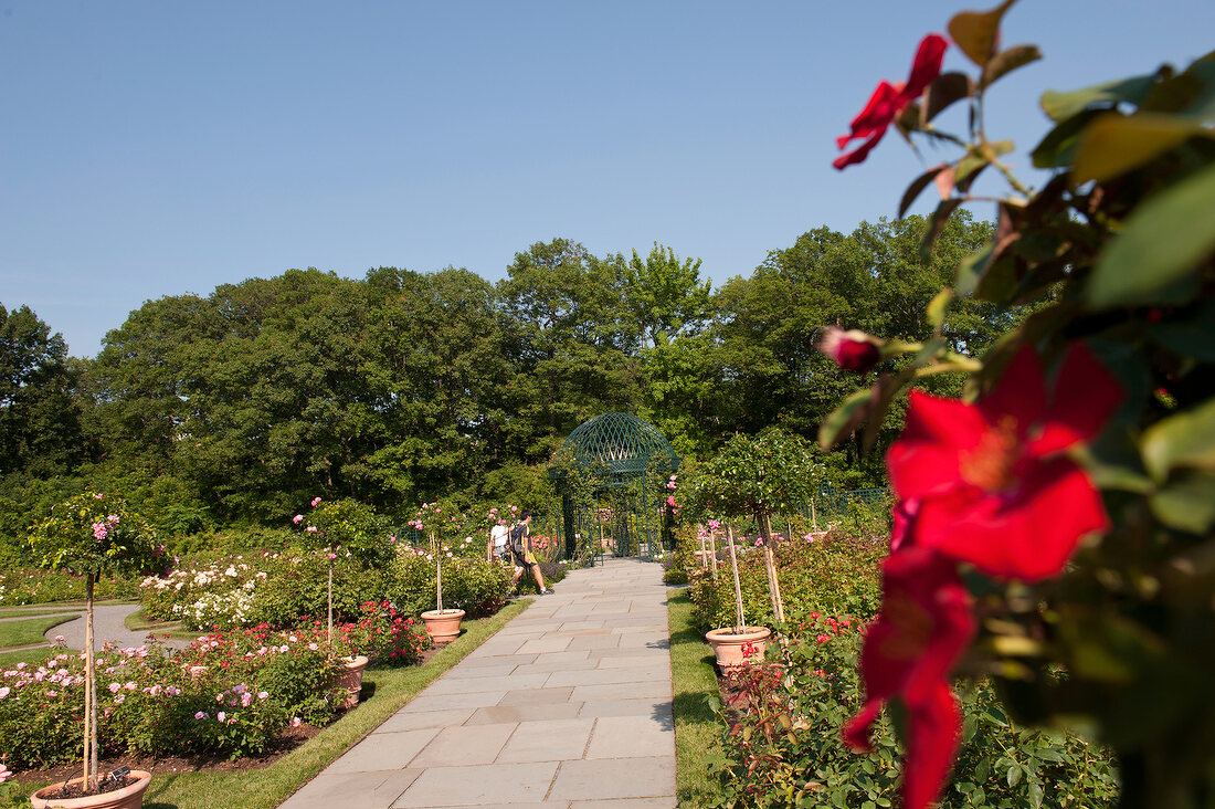 View of New York Botanical Garden in New York, USA