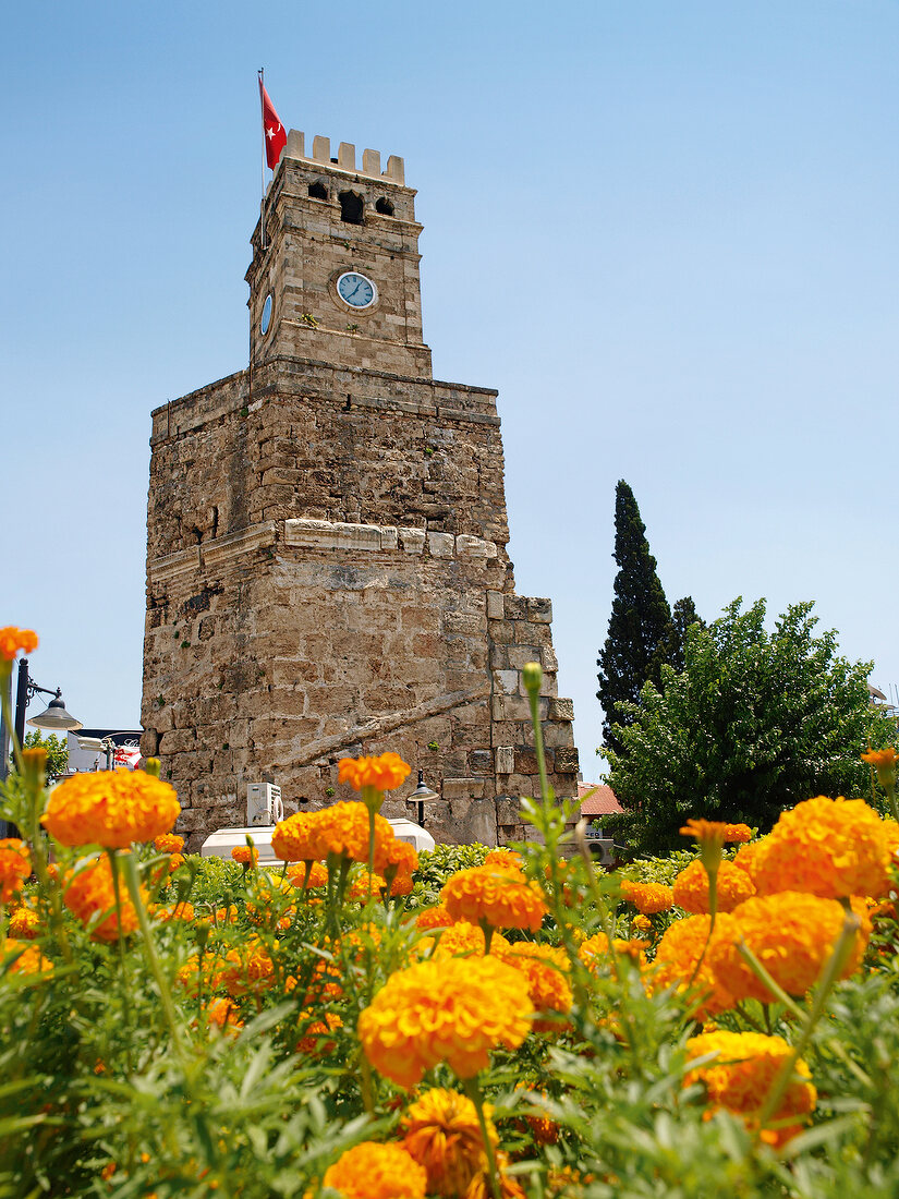 Low angle view of Seeds's Tower Clock through flowers, Antalya, Turkey