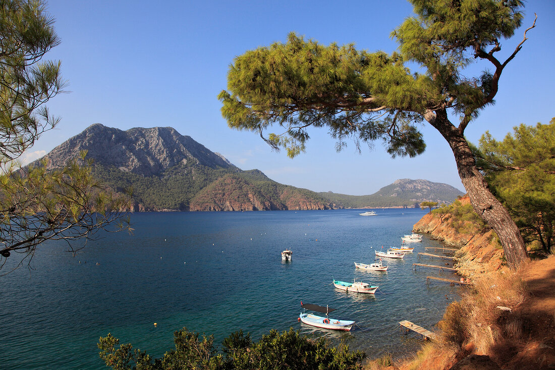 View of pine trees and boats on coats of Adrasan Bay, Kemer, Turkey