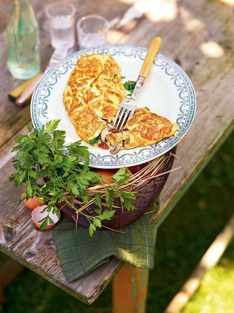 Omelette with mushrooms on plate, France