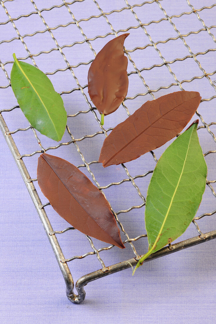 Chocolate leaves on grill for preparation of desserts