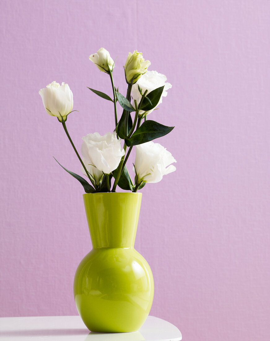 Green vase with white flowers in front of lavender wall