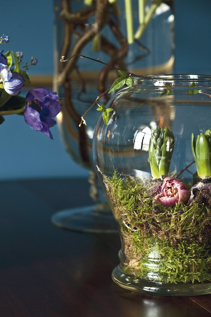 Hyacinths in jar on wooden table