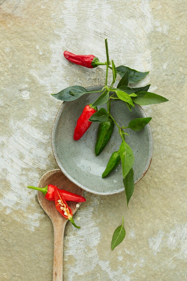 Red and green chillis on a branch (seen from above)