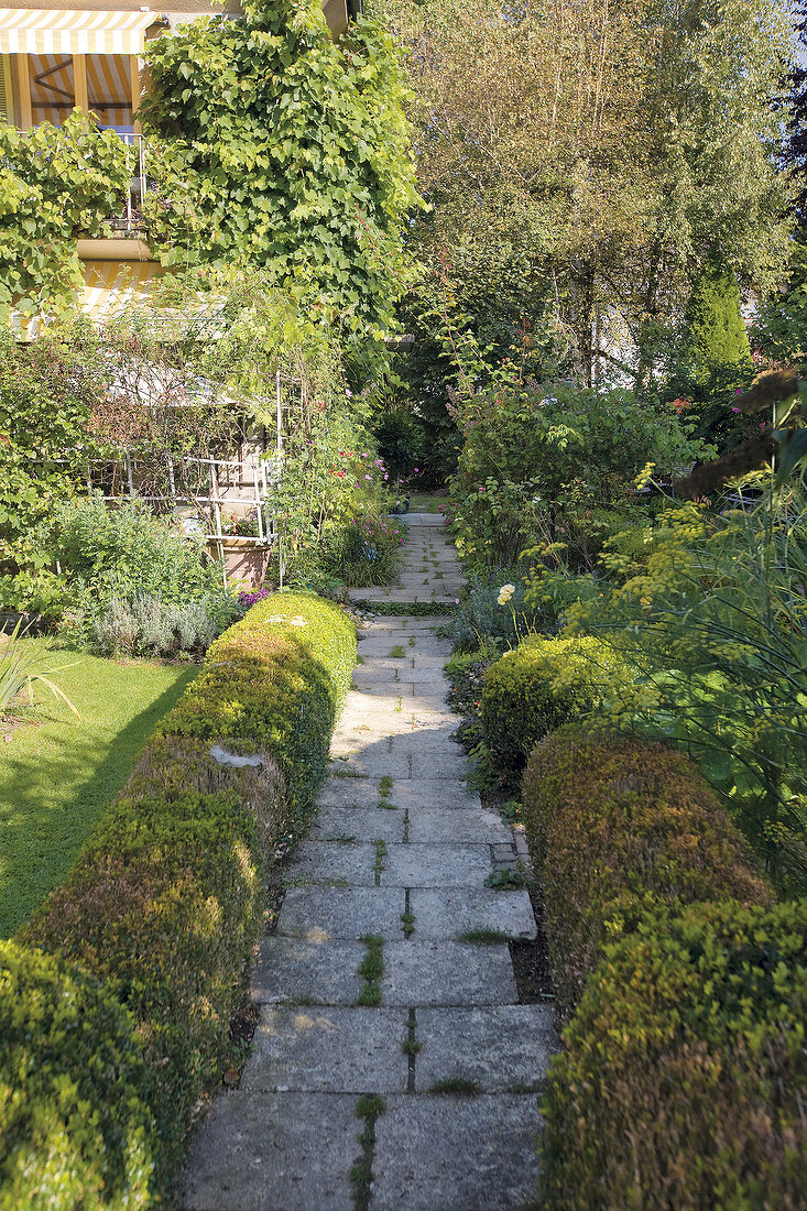 View of garden path with trees in garden