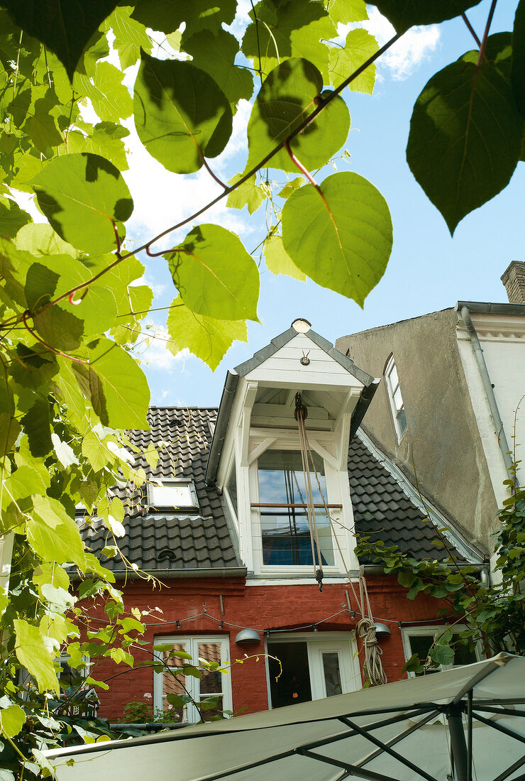 Ostseeküste: Flensburg, Weinhaus Braasch, Dach, Fenster