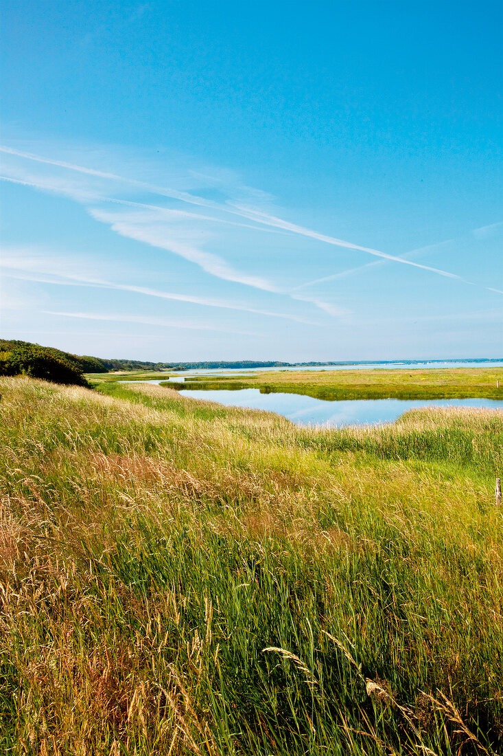 Ostseeküste: Geltinger Birk, Natur- schutzgebiet, malerisch