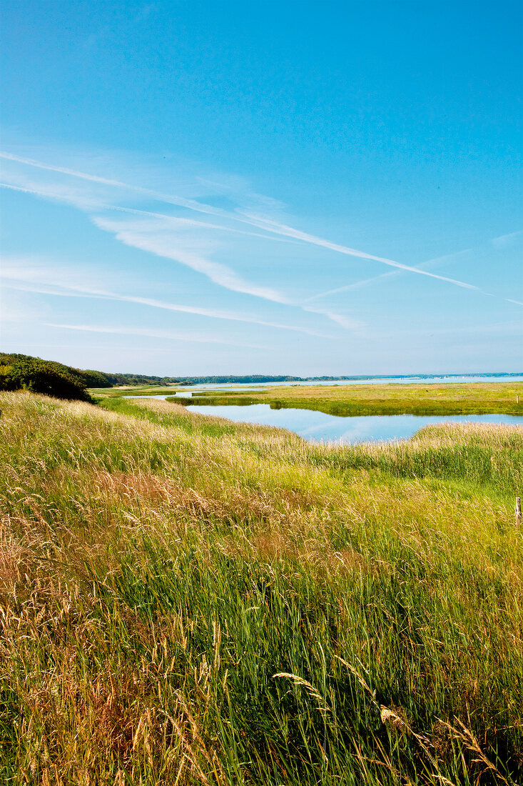 View of landscape of nature in Geltinger Birk, Germany