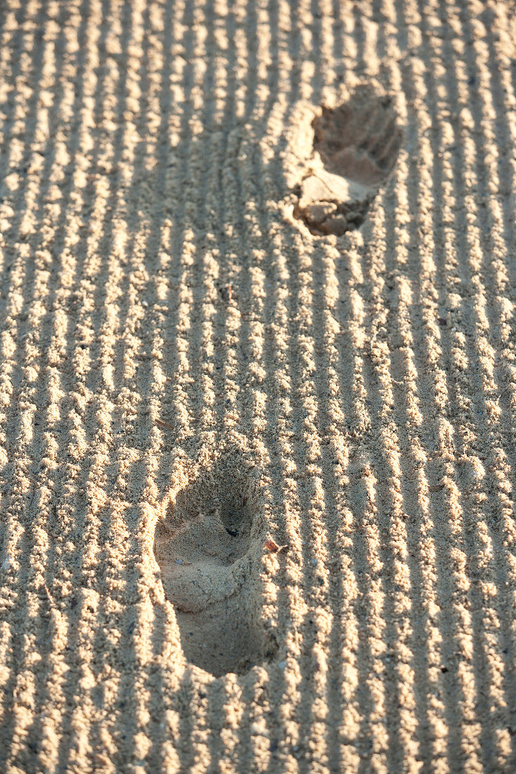 Fußabdrücke im Sand
