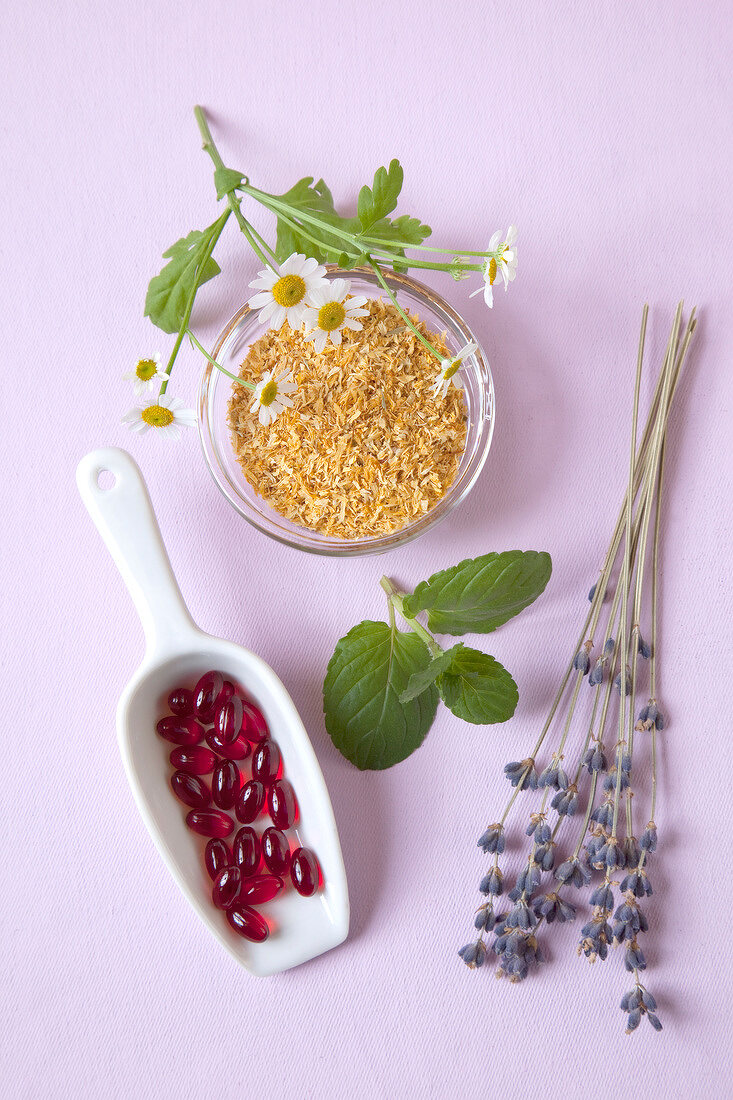 Phytotherapy - Lavender, chamomile flowers, pills and mint on purple background