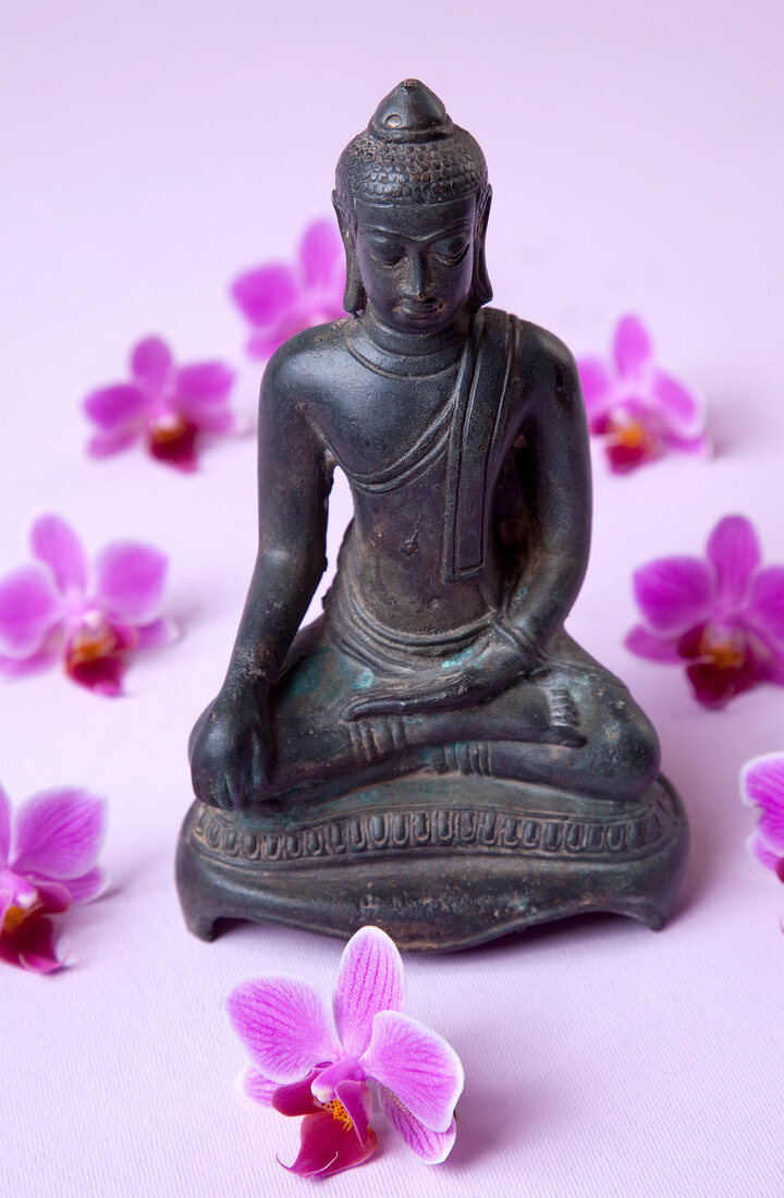 Close-up of Buddha statue surrounded by orchid flowers