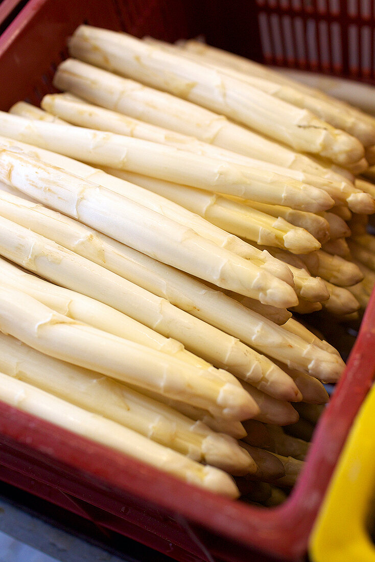 Himmel auf Erden, Spargel, nach Güteklassen sortiert