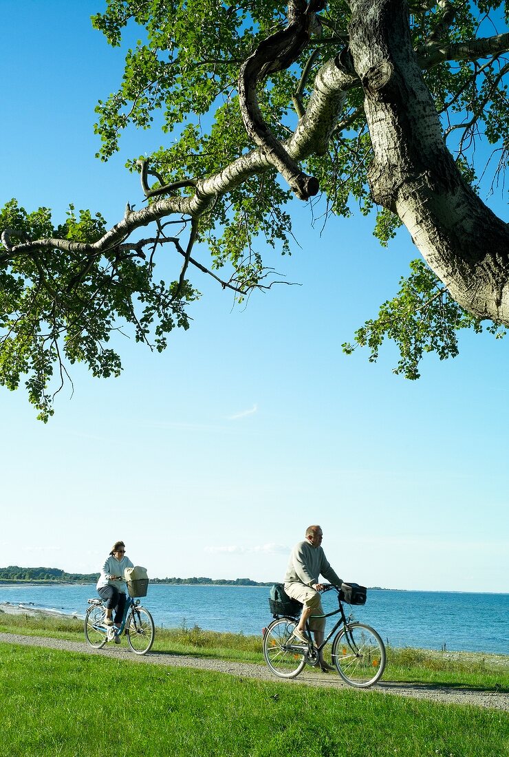 Ostseeküste: Maasholm, Landschaft, Radfahrer, sommerlich.