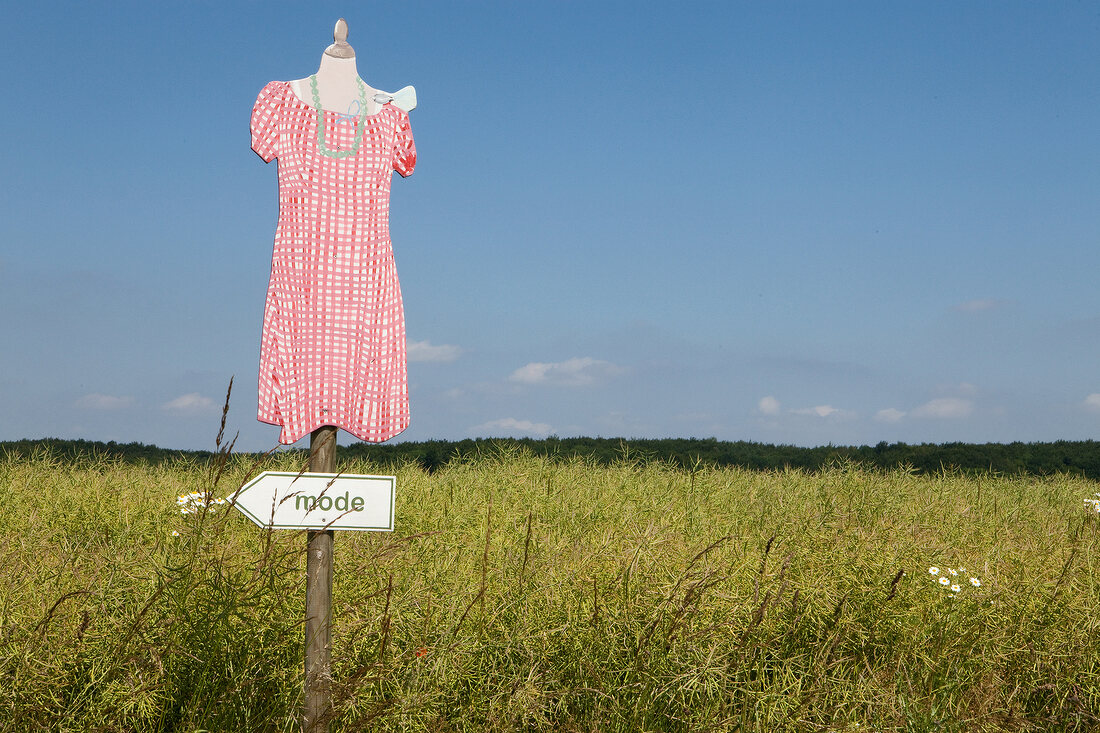 Sign board with female mannequin in field at Langballig, Germany