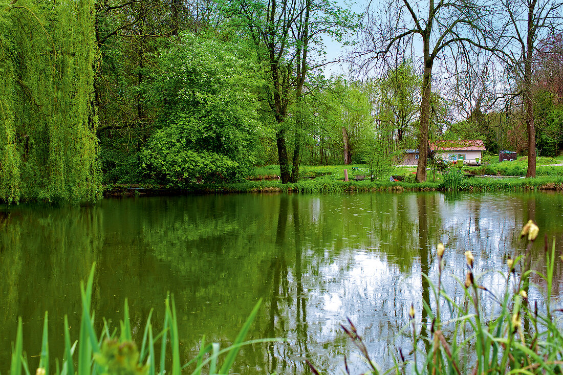 Himmel auf Erden, Fischzucht von Familie Birnbaum, Oberbayern