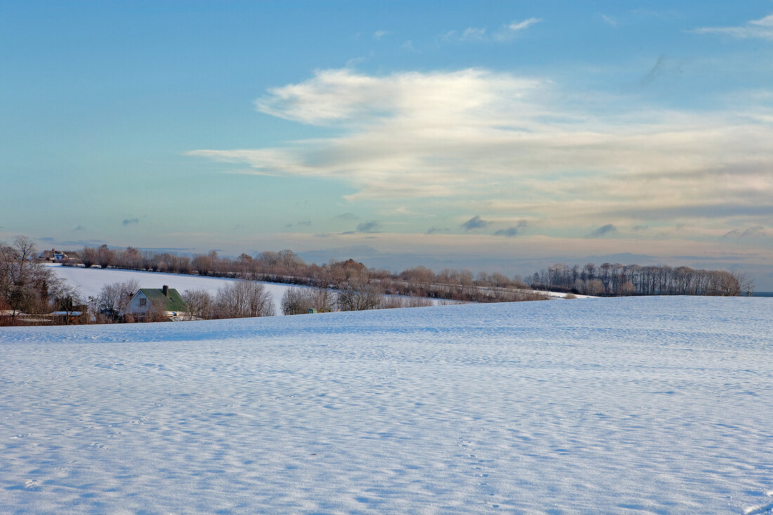 View of snowy fishing hedgerow at Baltic Sea Coast, Germany