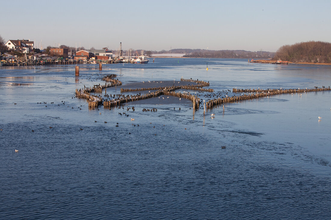 Ostseeküste: Kappeln, Meerblick, Heringszaun, winterlich.