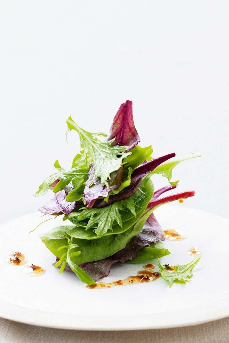 Various types of young lettuce leaves with dressing on a plate