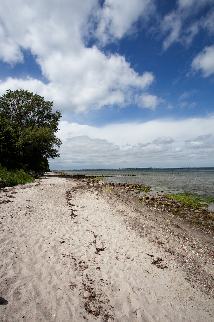 View of Baltic Sea Coast with dirt track and stones at Harbernis, Germany