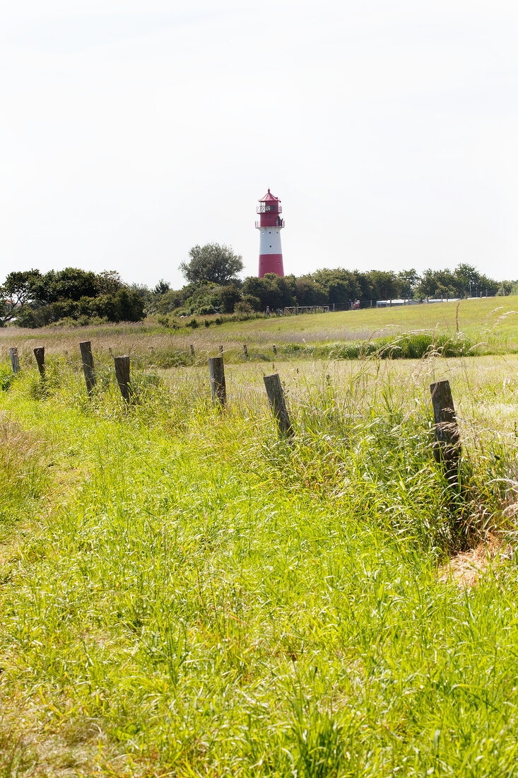 Ostseeküste: Schleswig-Holstein, Falshöfter Leuchtturm, Weide grün