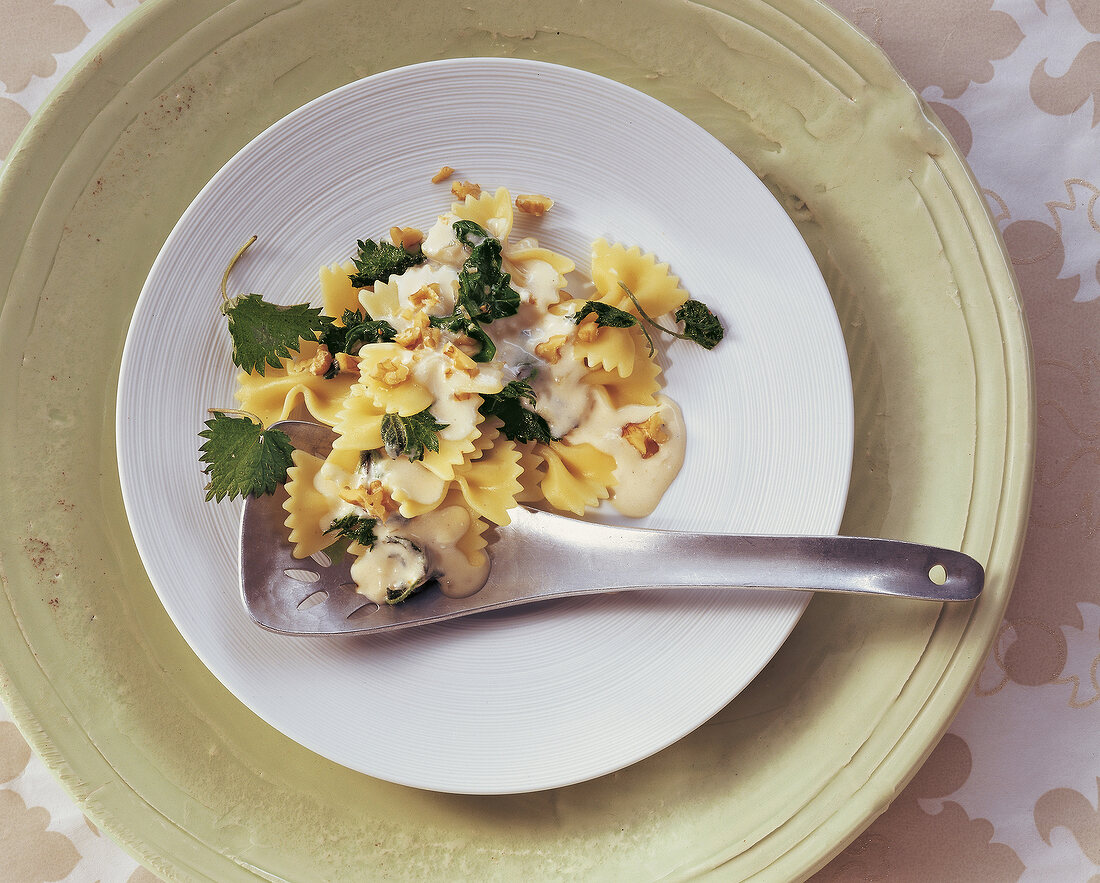 Sauce, Farfalle mit Brennnessel -Ziegenkäse-Sauce