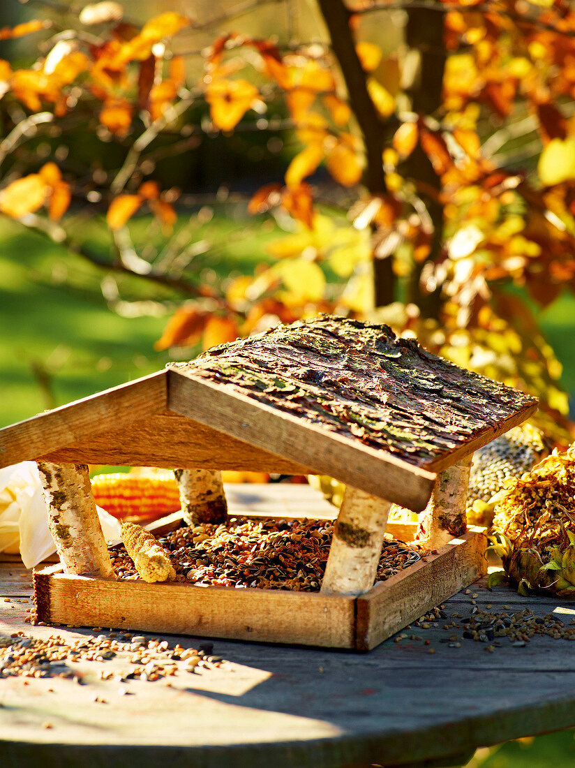 Gartenküche, Vogelhäuschen, herbstlich