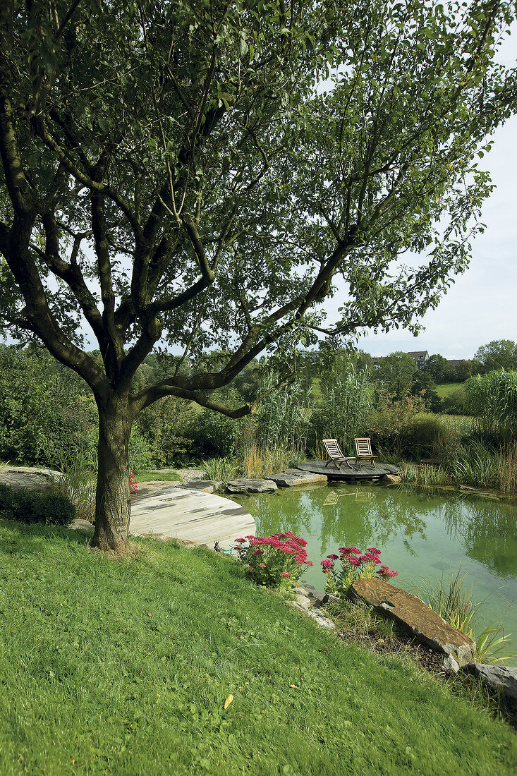 Garden pond with bench