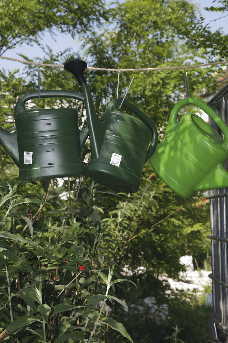 Watering cans hanging on rope