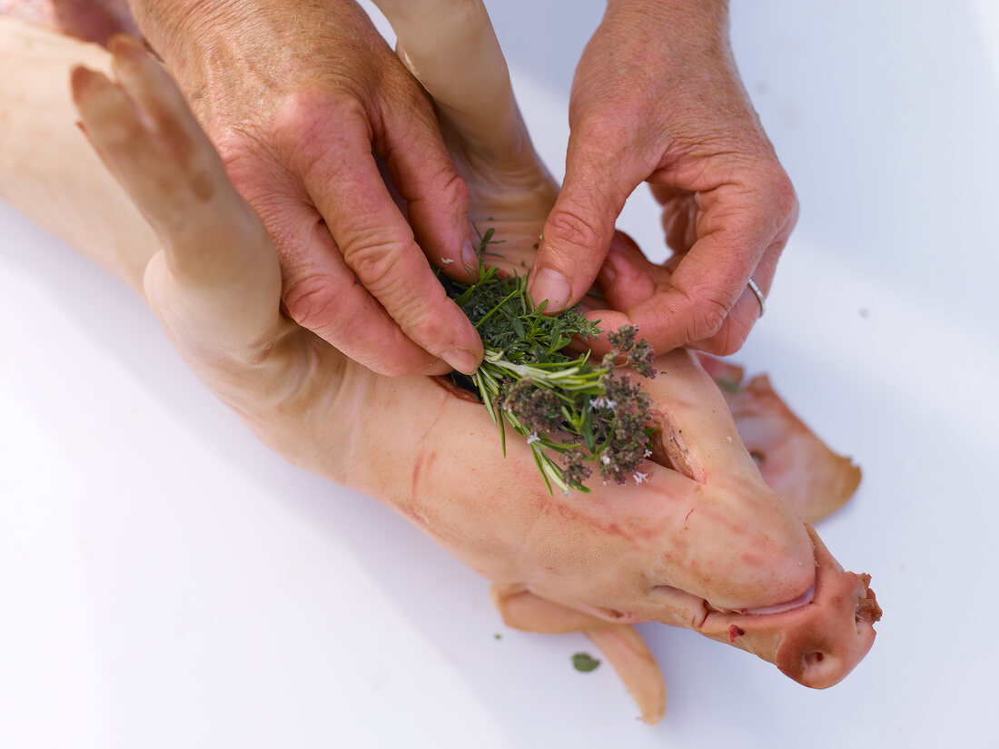 Close-up of suckling pig being stuffed with herbs