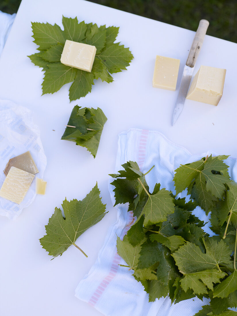 Fontina cheese and vine leaves on table