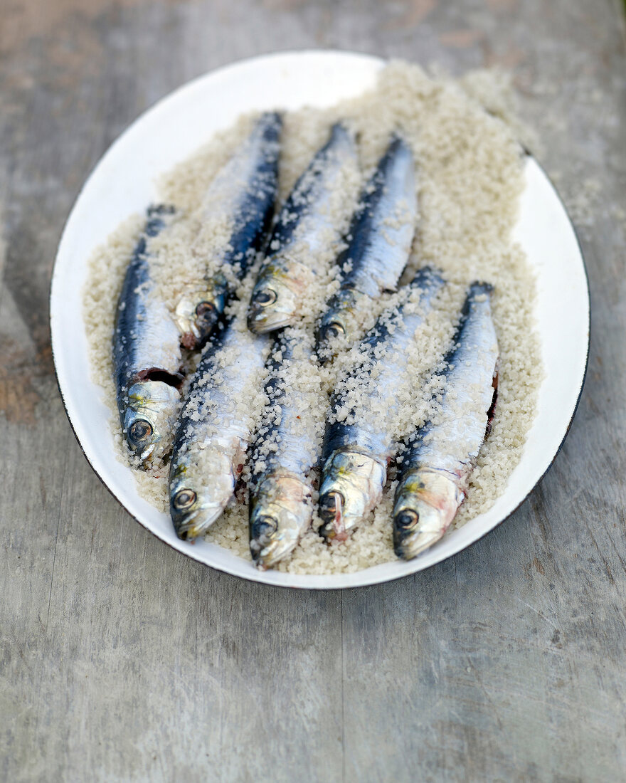 Canned sardines in coarse salt on plate
