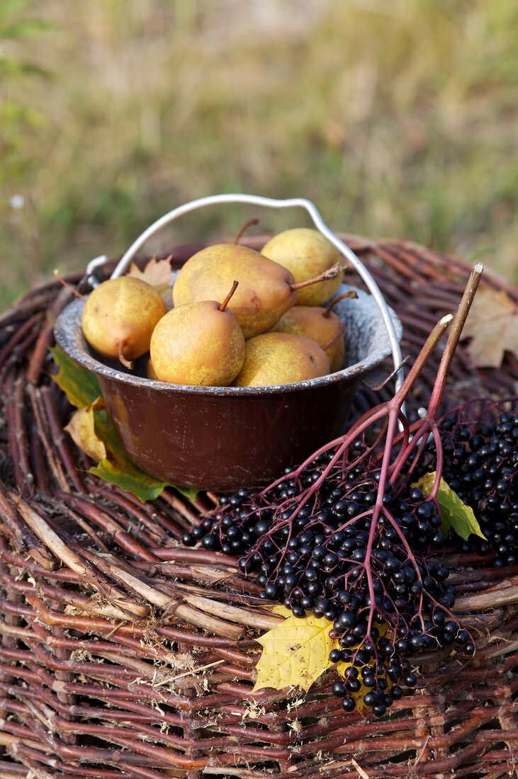 Alles hausgemacht, Birnen und Holunderbeeren