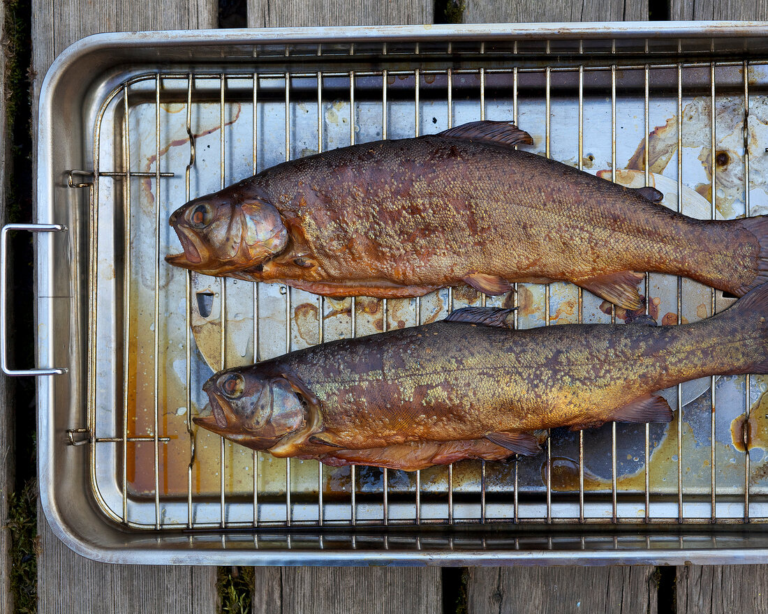 Close-up of two hot smoking fishes on grill