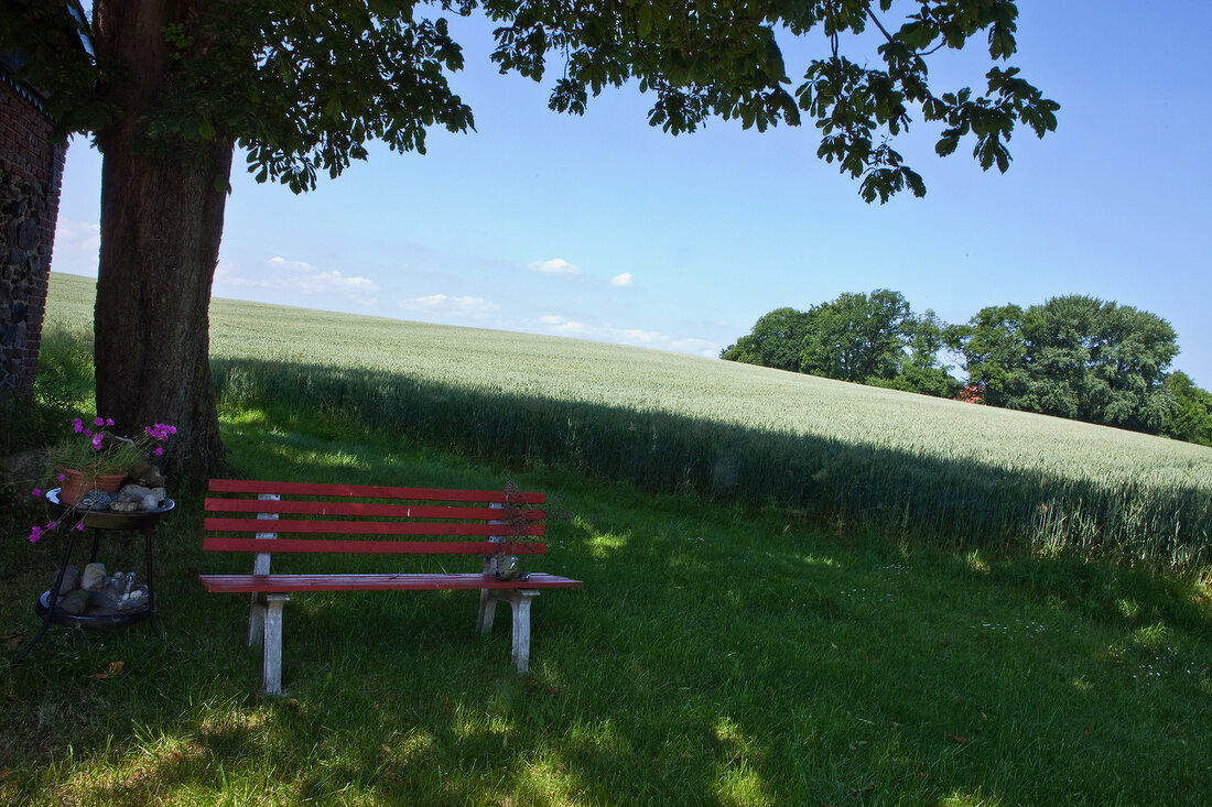 Bench in park in Langballig Bank, Schleswig-Holstein, Baltic Coast