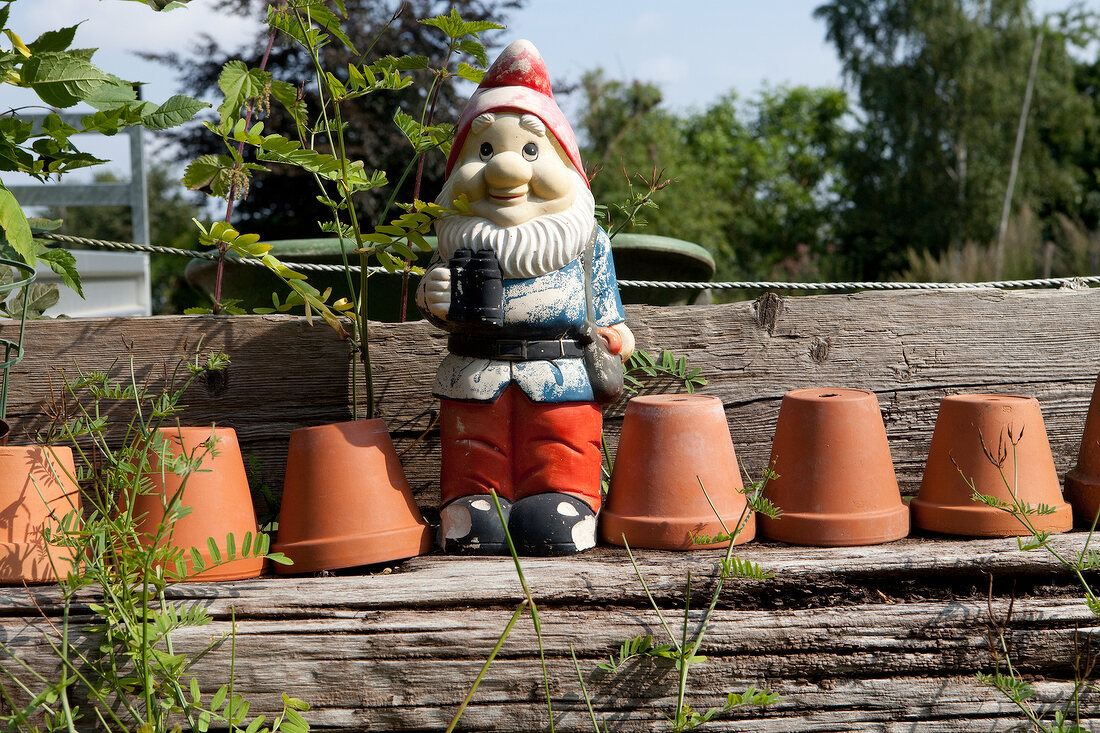 Garden gnome with plant pots in garden – License image – 10261064 ...