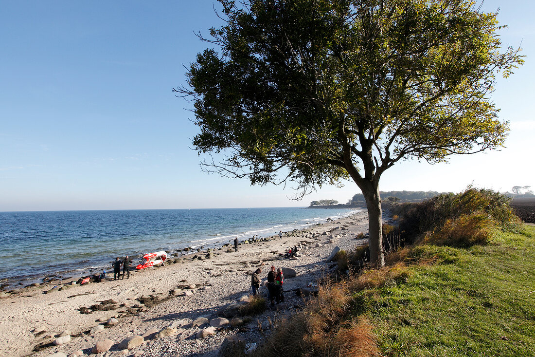 Ostseeküste: Schleswig-Holstein, Fehmarn, Strand, Steine.